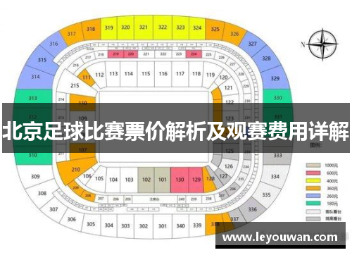 北京足球比赛票价解析及观赛费用详解